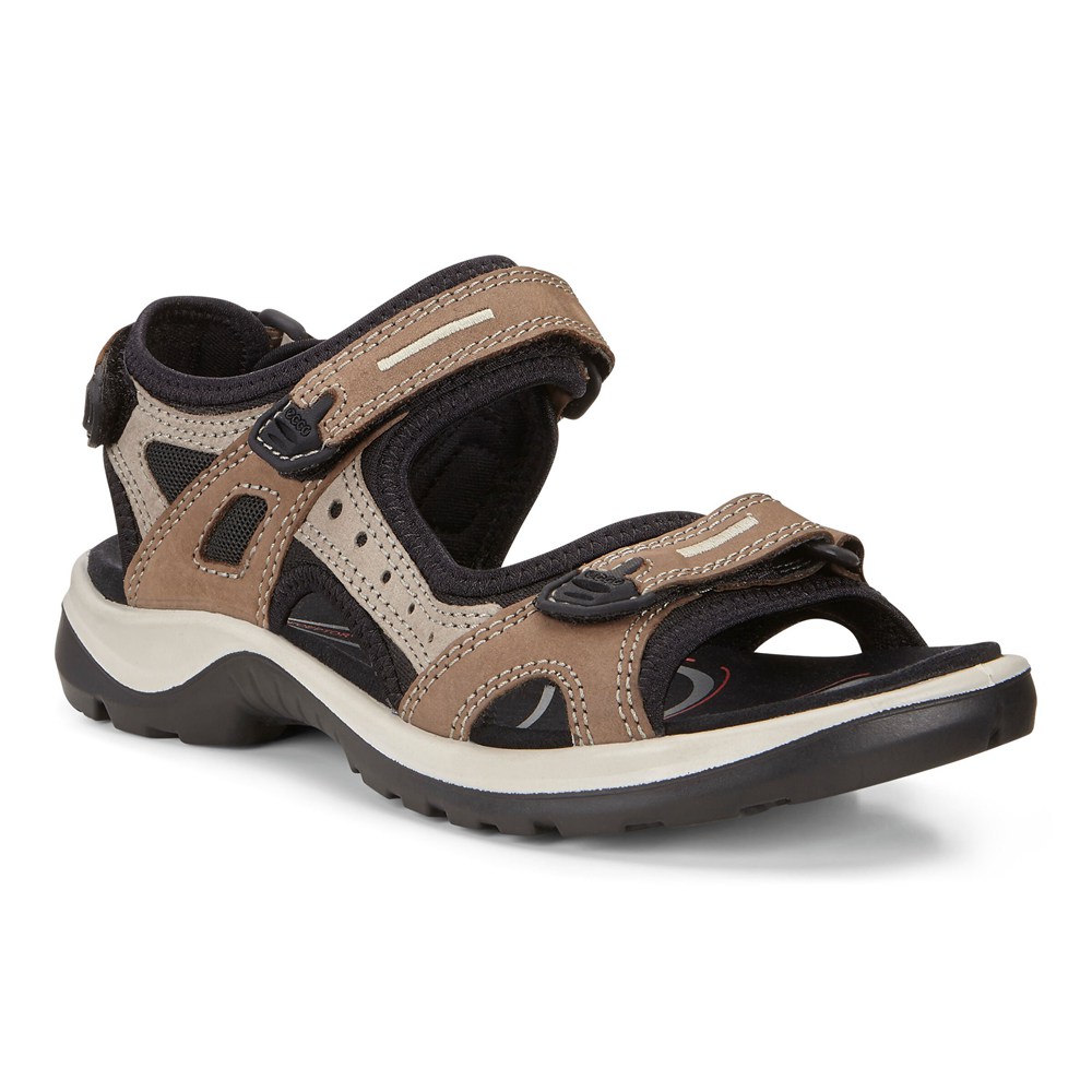 ECCO Womens Sandals Beige - Yucatan - COJ-456092